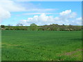 Farmland near Barthorpe Lodge