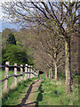 Footpath to Bodiam Road