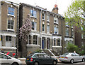 Clematis on house in Loftus Road