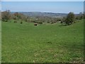 Gloucestershire farmland