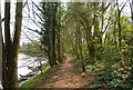 Riverside path, Aylesford