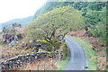 The Road to Croesor, Rhyd, Gwynedd