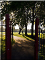 Morning, Victoria Park, Finchley Central