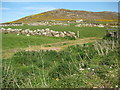 View to Zennor Hill