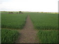 Footpath junction near Wye