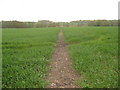 Footpath towards Goodcheap Farm