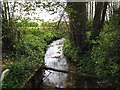 Brook near Orleton Common