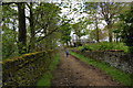 Bridleway approaching Harwood Fields