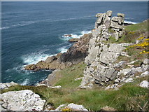 SW4237 : Crags above Porthmeor Cliff by Philip Halling