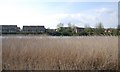 Looking across the River Medway to Snodland