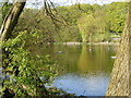 Kenwood Ladies? Bathing Pond