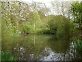 Pond on Hampstead Heath Extension