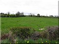 Drumshimuck Townland