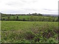 Leggin Townland