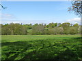 View across grazing land to Dogkennel Wood and Browning