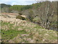 Allt na Meinne beside road to Polloch