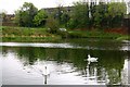 ST9861 : A side pond near the top of Caen Hill Locks by Steve Daniels