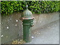 R3377 : Water pump, Ennis, Co Clare by C O'Flanagan