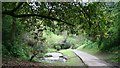 Footpath to Peasholm Glen