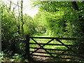 The Vanguard Way connecting Hollow Lane with Bushbury Lane