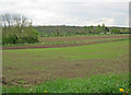 Arable land east of Bleasby