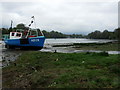 The bank of the Teifi  estuary