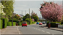 J4288 : The Larne Road, Carrickfergus by Albert Bridge