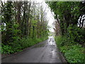 Dankton Lane on a wet May morning