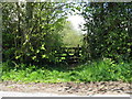 Step stile near Moat Farm