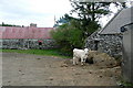 R1270 : Farm at Doolough by Graham Horn