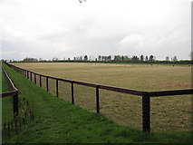 TL6457 : Icknield Way Path by Hugh Venables