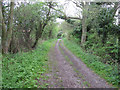 Bridleway to Dullingham