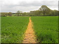 Footpath towards Alders