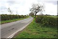 Coal Lane near Pawton Hill Farm