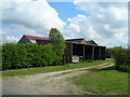 Prospect Farm, Broad Ings