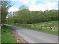 Footpath crossing a lane near Foreland Wood