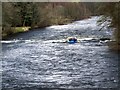 River Tay, Grandtully