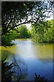 TQ5492 : Dagnam Park Pond by Glyn Baker
