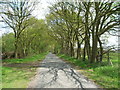 Sand Lane towards Yapham Common