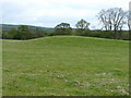 The Meerbrook (or Leekfrith) tumulus