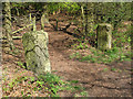 SJ8677 : Gateposts in the woods by Stephen Craven