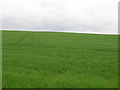 Farmland off Beacon Road