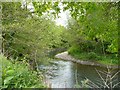 ST2384 : River Rhymney near to Cefn Mably Farm Park by Robin Drayton