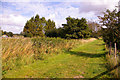 Footpath near River Colne, London Colney