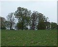 Charborough Park, deer monument