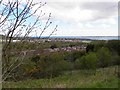 Cavehill, Belfast