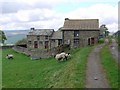 Restored cottages east of Allercleugh