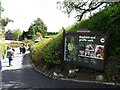 Elephant and giraffe walk, Belfast Zoo