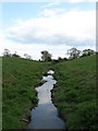 Stream, Lane Field