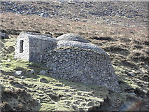 J3629 : The Donard Icehouse by HENRY CLARK